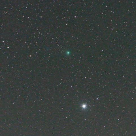 5/30未明　北極星から遠ざかり始めたラブジョイ彗星（C/2014 Q2）