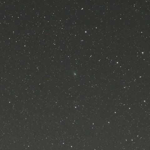 10/19未明　パンスターズ彗星（C/2014 S2）