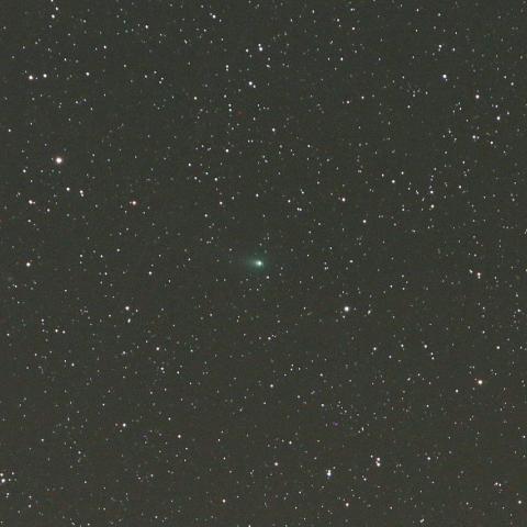 11/11未明　パンスターズ彗星（C/2014 S2）