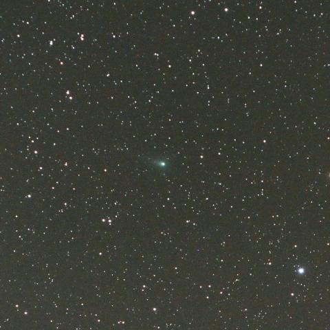 11/16未明　パンスターズ彗星（C/2014 S2）