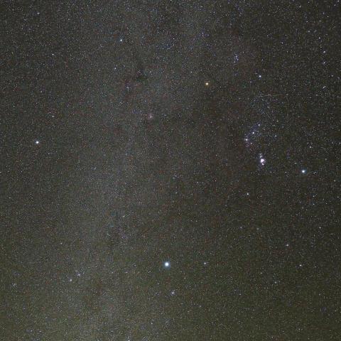 11/16未明　冬の大三角