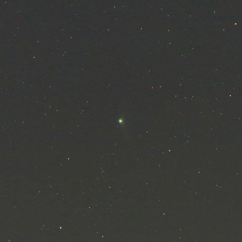 12/1未明　カタリナ彗星（C/2013 US10）