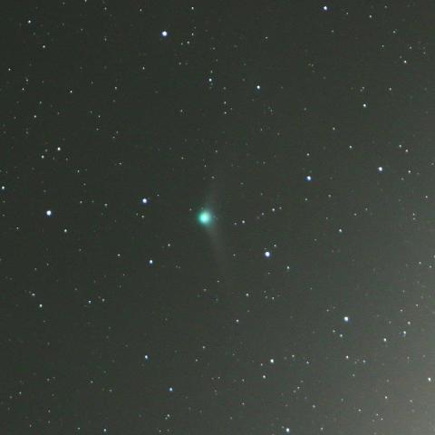 12/8未明　カタリナ彗星（C/2013 US10）