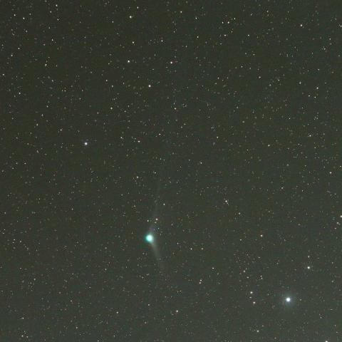 12/12未明　カタリナ彗星（C/2013 US10）