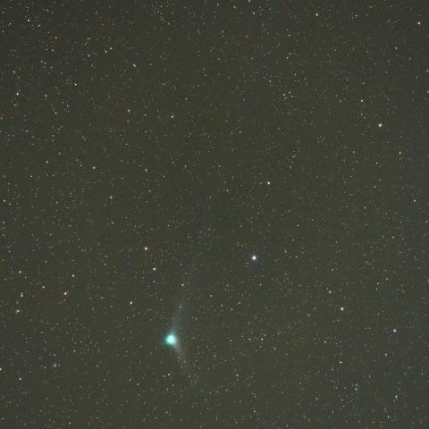 12/20未明　カタリナ彗星（C/2013 US10）