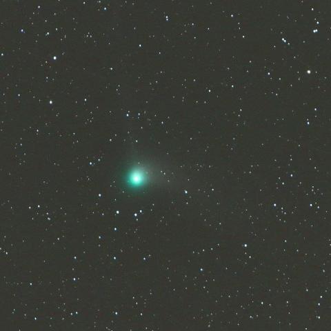 1/9未明 カタリナ彗星（C/2013 US10）