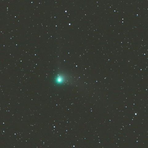 1/10未明　カタリナ彗星（C/2013 US10）