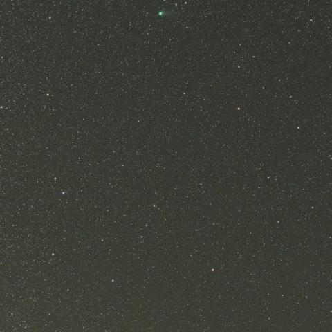 2/3　北極星から離れつつあるカタリナ彗星（C/2013 US10）