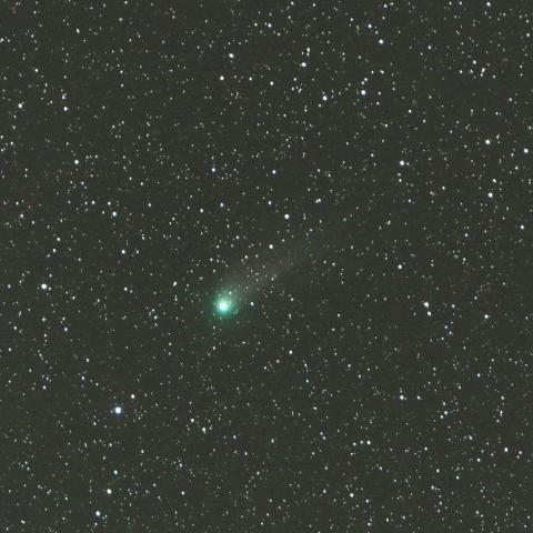 2/6　カタリナ彗星（C/2013 US10）
