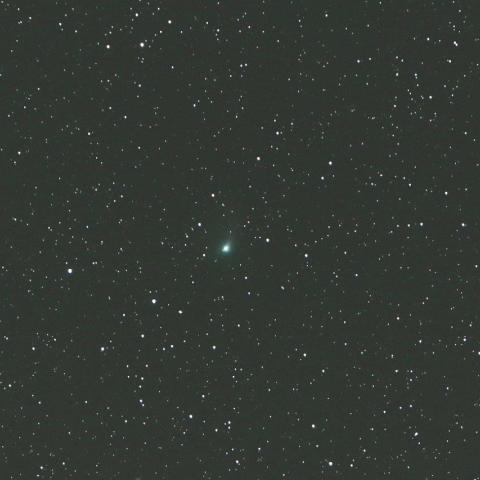 3/2　パンスターズ彗星（C/2014 S2）