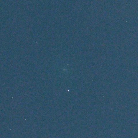 3/28未明　リニア彗星（252P）捕捉その2