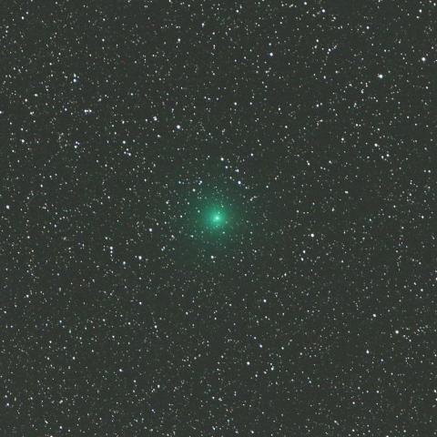 4/19未明　満月前最後のリニア彗星（252P）