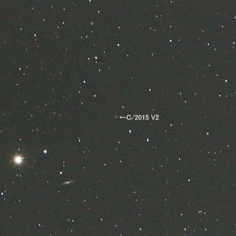10/15未明 初見初撮りのジョンソン彗星（C/2015 V2）