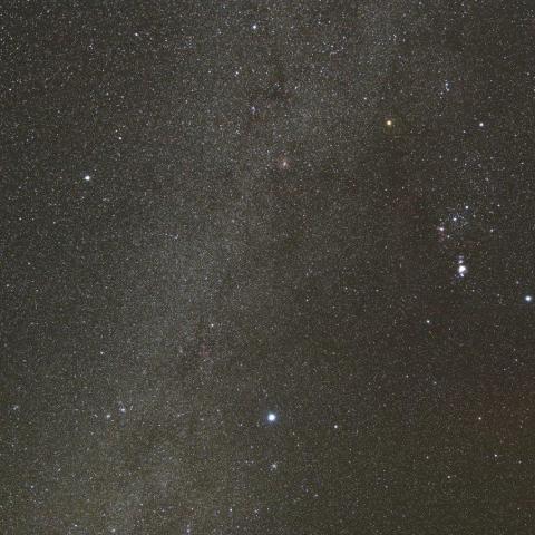 11/26未明 冬の大三角