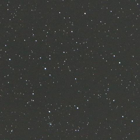 11/26未明 ジョンソン彗星（C/2015 V2）