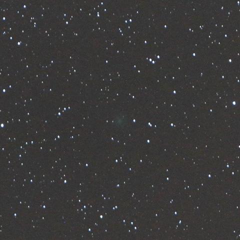 11/26未明　初見初撮りのネオワイズ彗星（C/2016 U1）