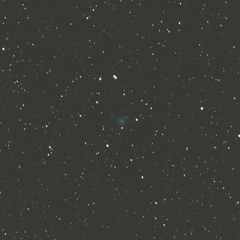 12/7未明　ネオワイズ彗星（C/2016 U1）