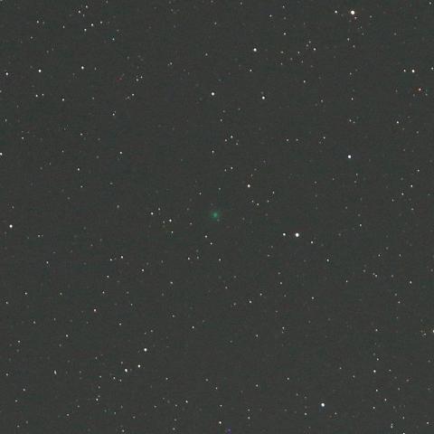 12/21未明　月夜のネオワイズ彗星（C/2016 U1）