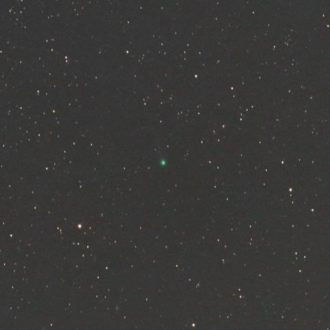 1/3未明　ネオワイズ彗星（C/2016 U1）