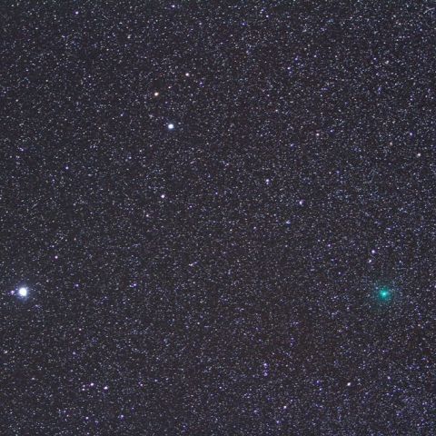 11月6日未明のハートレー彗星（103P）とこいぬ座プロキオン