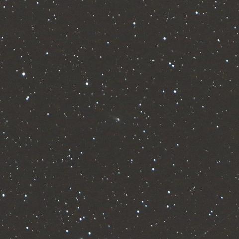 1/11未明　ジョンソン彗星（C/2015 V2）