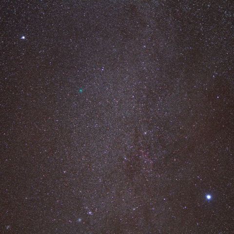 11月11日未明のハートレー彗星（103P） 冬の大三角を飛び出しました