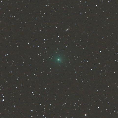 3/15　タットル・ジャコビニ・クレサーク彗星（41P）