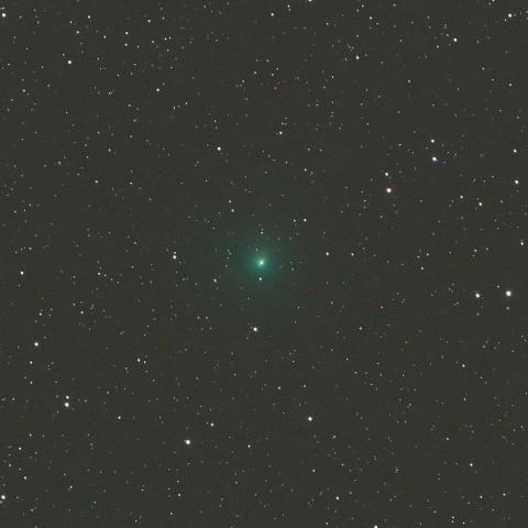 3/21　タットル・ジャコビニ・クレサーク彗星（41P）