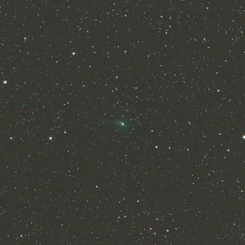 3/24未明　ジョンソン彗星（C/2015 V2）