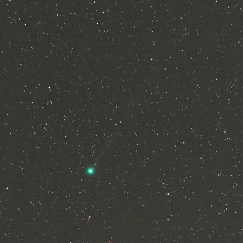 4/3未明　初見初撮りのラヴジョイ彗星（C/2017 E4）