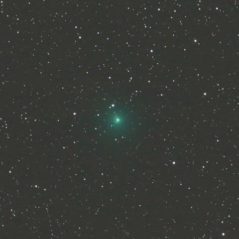 4/4未明　タットル・ジャコビニ・クレサーク彗星（41P）