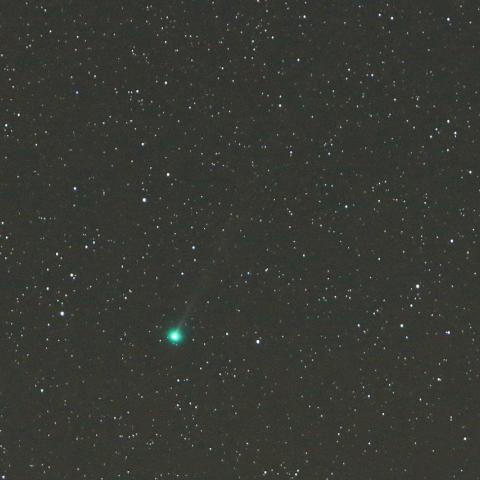 4/4未明　ラヴジョイ彗星（C/2017 E4）