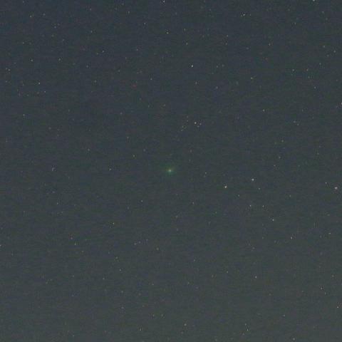 4/13未明　月夜かつ低空でも明るいパンスターズ彗星（C/2015 ER61）