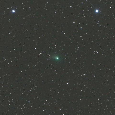 4/23未明　ジョンソン彗星（C/2015 V2）