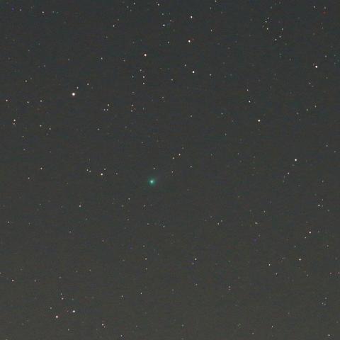 4/23未明　パンスターズ彗星（C/2015 ER61）