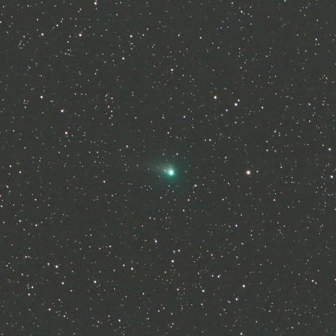 4/29未明　ジョンソン彗星（C/2015 V2）