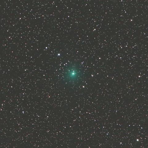 4/29未明　タットル・ジャコビニ・クレサーク彗星（41P）