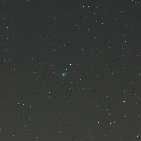 5/2未明　パンスターズ彗星（C/2015 ER61）