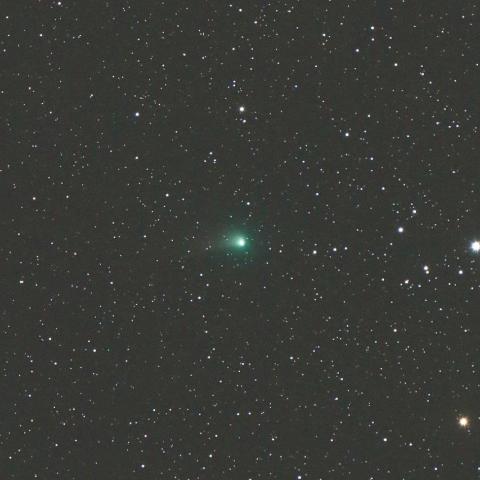 5/4未明　ジョンソン彗星（C/2015 V2）