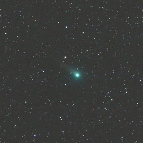 5/22　ジョンソン彗星（C/2015 V2）