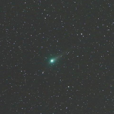 5/27未明　ジョンソン彗星（C/2015 V2）