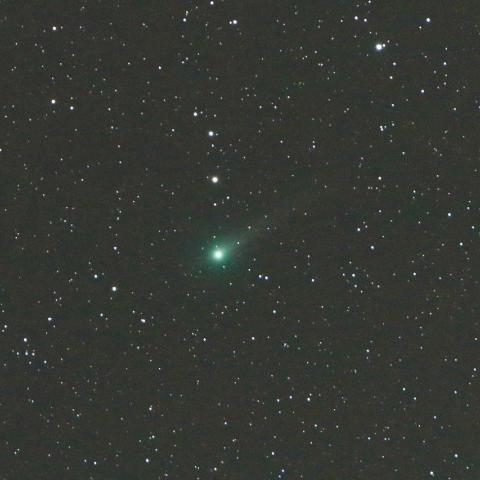 6/3未明　ジョンソン彗星（C/2015 V2）