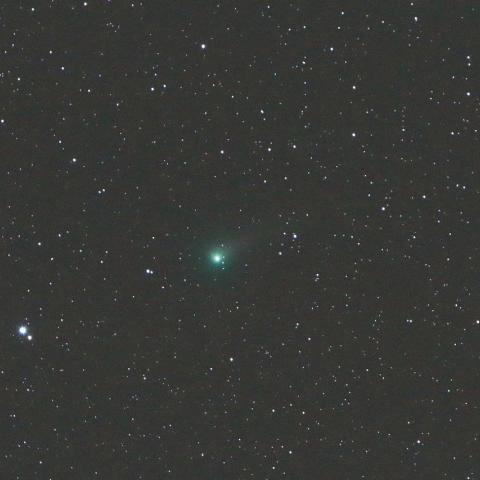 6/15　ジョンソン彗星（C/2015 V2）