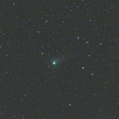 6/18　 ジョンソン彗星（C/2015 V2）