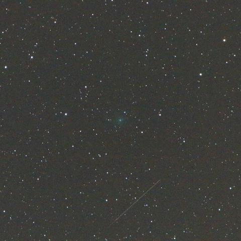 8/4未明　初見初撮りのアサシン彗星（C/2017 O1）