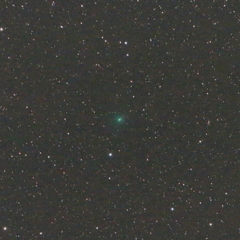 9/1未明　アサシン彗星（C/2017 O1）