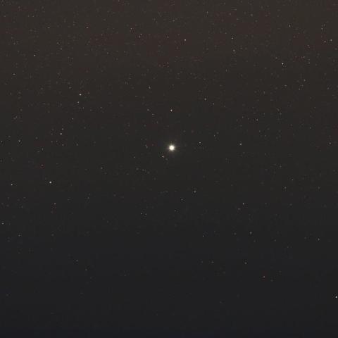 10/26未明　シーズンイン！りゅうこつ座のカノープス