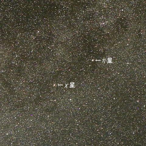 11/6  はくちょう座χ星が極大