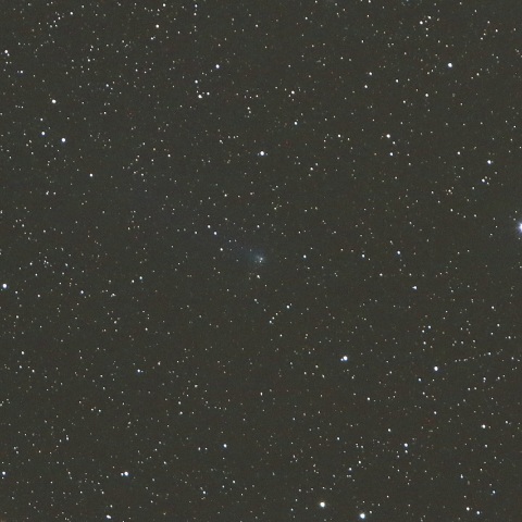 12/26未明 パンスターズ彗星（C/2016 R2）