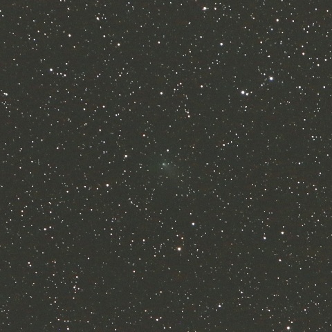 12/28未明 ハインズ彗星（C/2017 T1）